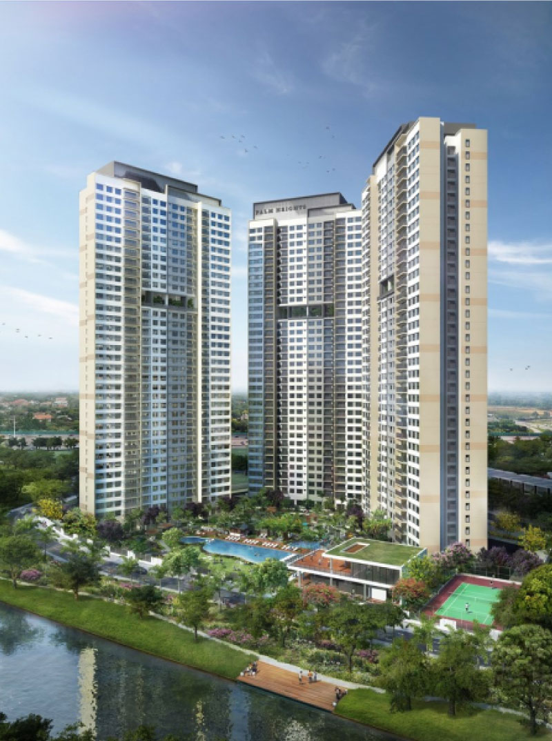 phối cảnh palmera